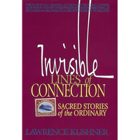 Invisible Lines of Connection: Sacred Stories of the Ordinary - Paperback