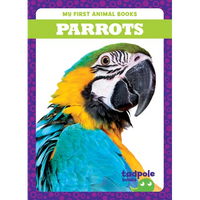 Parrots - Paperback