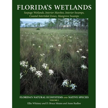 Florida's Wetlands - Paperback