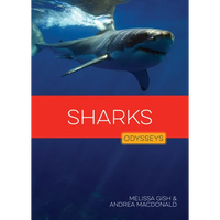Sharks - Paperback