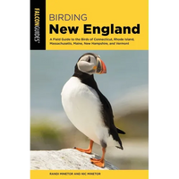 Birding New England - Paperback