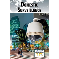 Domestic Surveillance - Paperback