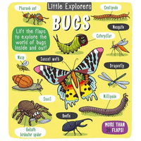 Little Explorers: Bugs - Hardcover