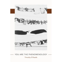 You Are the Phenomenology - Paperback