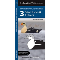 Cornell Lab of Ornithology Waterfowl Id Series: 3 Sea Ducks & Others: Cornell Lab of Ornithology Bird Id Series - Paperback