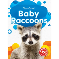 Baby Raccoons - Library Binding