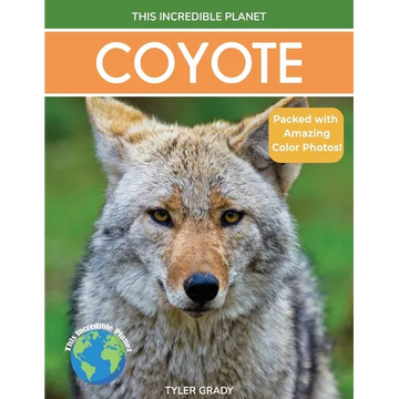 Coyote: Fascinating Animal Facts for Kids - Paperback