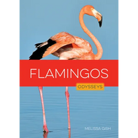 Flamingos - Library Binding
