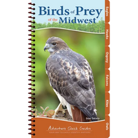 Birds of Prey of the Midwest: Your Way to Easily Identify Raptors - Spiral