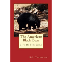 The American Black Bear: Life in the Wild - Paperback