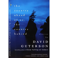 The Country Ahead of Us, The Country Behind - Paperback