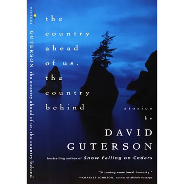 The Country Ahead of Us, The Country Behind - Paperback