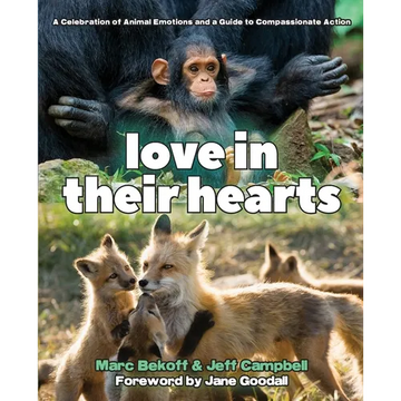 Love in Their Hearts: A Celebration of Animal Emotions and a Guide to Compassionate Action - Paperback