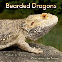 Bearded Dragons - Paperback