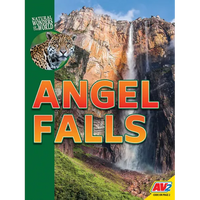 Angel Falls - Library Binding