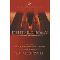 Deuteronomy: An Introduction and Commentary - Hardcover