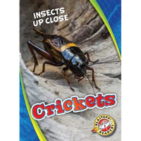 Crickets - Library Binding