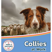 Collies at Work - Hardcover