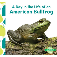 Day in the Life of an American Bullfrog - Library Binding