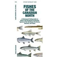 Fishes of the Canadian North: A Folding Guide to Native and Introduced Freshwater Species of the Northwest Territories, Nunavut and Yukon - Paperback