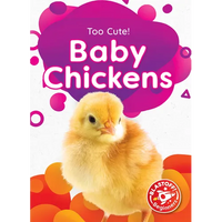 Baby Chickens - Paperback