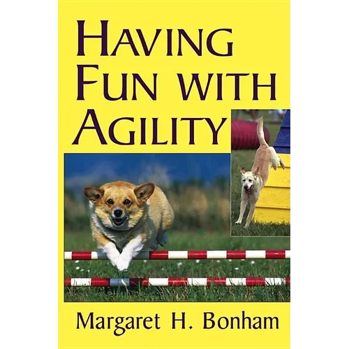Having Fun with Agility