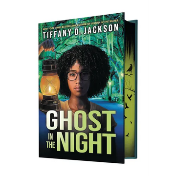 Ghost in the Night - Hardcover