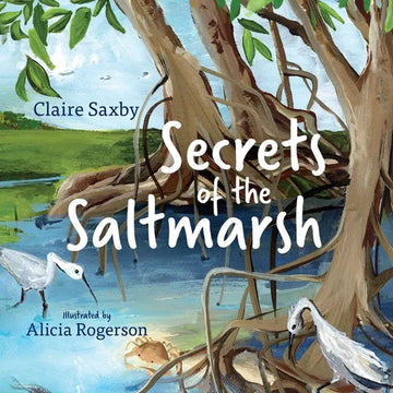 Secrets of the Saltmarsh - Paperback