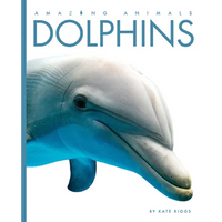 Dolphins - Paperback