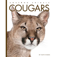 Cougars - Paperback