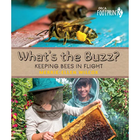What's the Buzz?: Keeping Bees in Flight - Hardcover