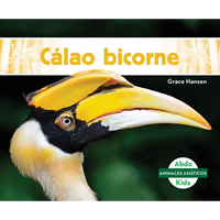 Calao Bicorne (Great Hornbills) - Library Binding