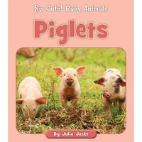 Piglets - Paperback