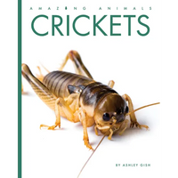 Crickets - Paperback