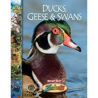 Ducks, Geese and Swans - Library Binding