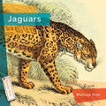 Jaguars