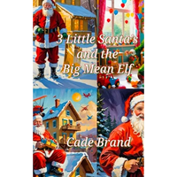 3 Little Santa's and the Big Mean Elf - Hardcover
