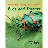 Amazing, Crazy and Weird Bugs and Insects: (Age 5 - 8) - Paperback