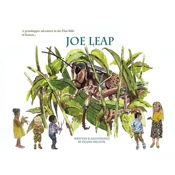Joe Leap - Paperback