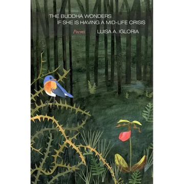 The Buddha Wonders if She is Having a Mid-life Crisis - Paperback