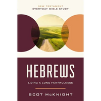 Hebrews: Living a Long Faithfulness - Paperback