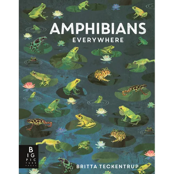 Amphibians Everywhere: (A Kids' Nonfiction Science and Nature Book about Frogs, Toads, Newts, Salamanders, and Habitats for Ages 6-9) - Hardcover