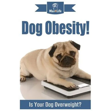 Dog Obesity!: Is Your Dog Overweight? - Paperback