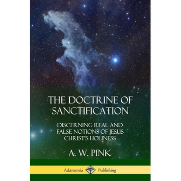 The Doctrine of Sanctification: Discerning real and false notions of Jesus Christ's Holiness - Paperback