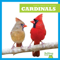 Cardinals - Paperback