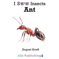 Ant - Paperback