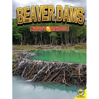 Beaver Dams - Paperback
