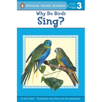 Why Do Birds Sing? - Paperback