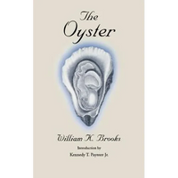 The Oyster - Paperback