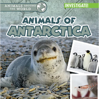 Animals of Antarctica - Paperback